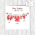 Family Christmas Outfits Washing Line (pack of 10)